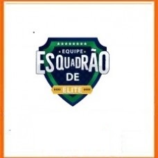 INSS – Esquadrão de Elite Curso Completo..